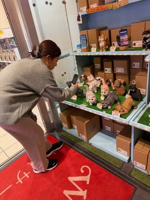 北九州 浮気調査｜八幡西区での緊急出動と現地対応策